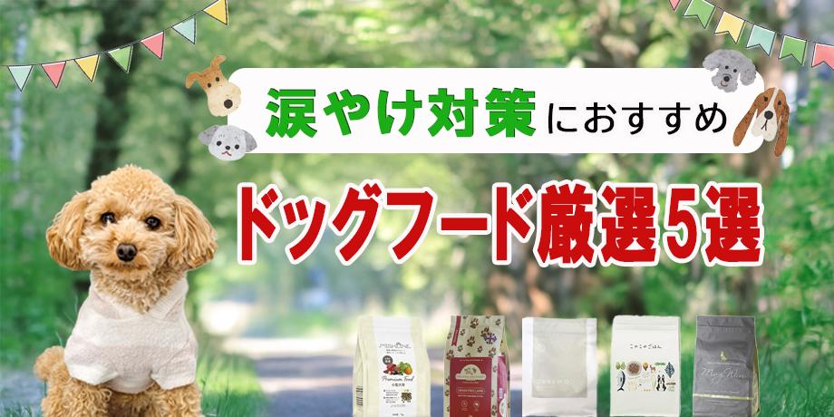 涙やけ対策におすすめのドッグフード5選